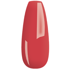 MY Color - new collection