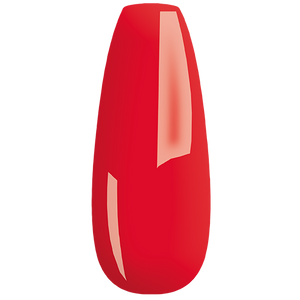 MY Color - new collection