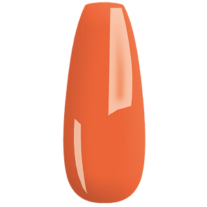 MY Color - new collection