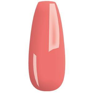 MY Color - new collection