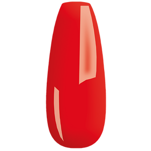 MY Color - new collection