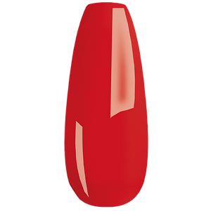 MY Color - new collection